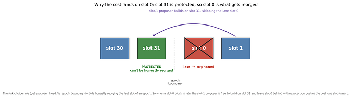 Figure 3: why the cost lands on slot 0 — slot 31 is fork-choice-protected, so when slot 0 is late the slot-1 proposer builds on slot 31 and leaves it behind.