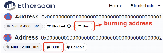 burn_address
